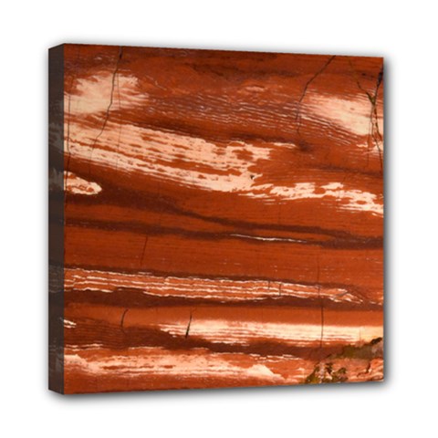 Red Earth Natural Mini Canvas 8  X 8  by UniqueCre8ion