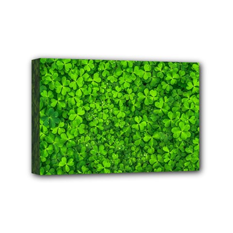 Shamrock Clovers Green Irish St  Patrick Ireland Good Luck Symbol 8000 Sv Mini Canvas 6  X 4  by yoursparklingshop