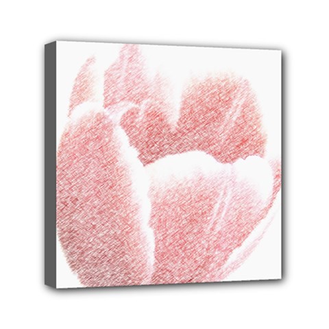 Tulip Red Pencil Drawing Art Mini Canvas 6  X 6  by picsaspassion