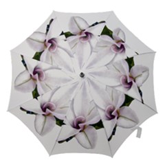 Magnolia Wit Aquarel Painting Art Hook Handle Umbrellas (large) by picsaspassion