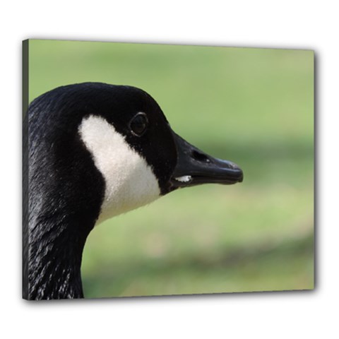 Goose, Black And White Canvas 24  X 20  by picsaspassion