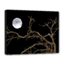 Nature Dark Scene Canvas 14  x 11  View1