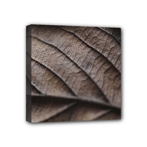 Leaf Veins Nerves Macro Closeup Mini Canvas 4  X 4  by Amaryn4rt
