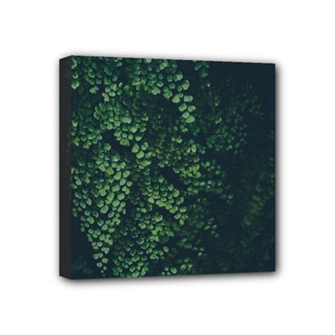 Abstract Art Background Biology Mini Canvas 4  X 4  by Amaryn4rt