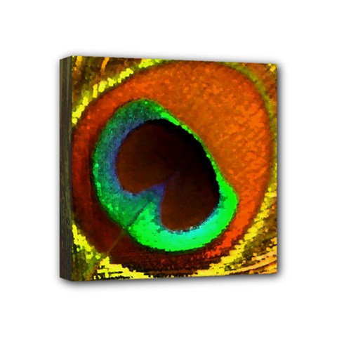 Peacock Feather Eye Mini Canvas 4  X 4  by Nexatart