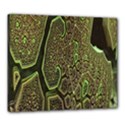 Fractal Complexity 3d Dimensional Canvas 24  x 20  View1