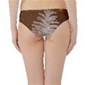 Background Christmas Tree Christmas Hipster Bikini Bottoms View2