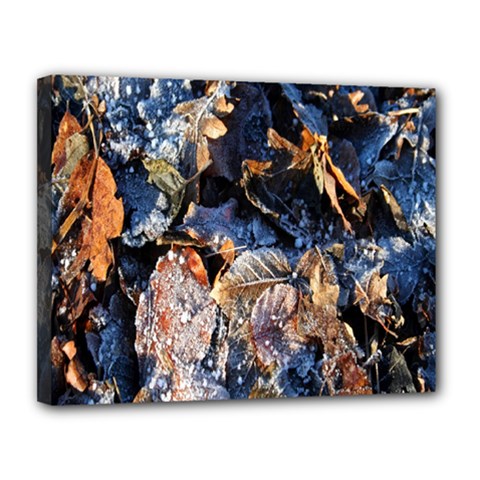 Frost Leaves Winter Park Morning Canvas 14  X 11  by Nexatart