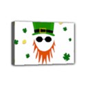 St. Patrick s day Mini Canvas 6  x 4  View1