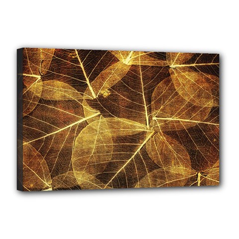 Leaves Autumn Texture Brown Canvas 18  X 12  by Nexatart