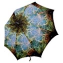 Crab Nebula Hook Handle Umbrellas (Small) View2