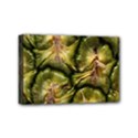 Pineapple Fruit Close Up Macro Mini Canvas 6  x 4  View1