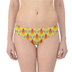 The Colors Of Summer Hipster Bikini Bottoms by Nexatart