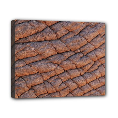 Elephant Skin Canvas 10  X 8  by Amaryn4rt