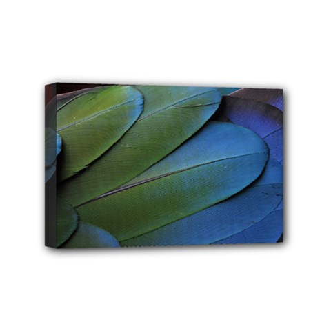 Feather Parrot Colorful Metalic Mini Canvas 6  X 4  by Amaryn4rt
