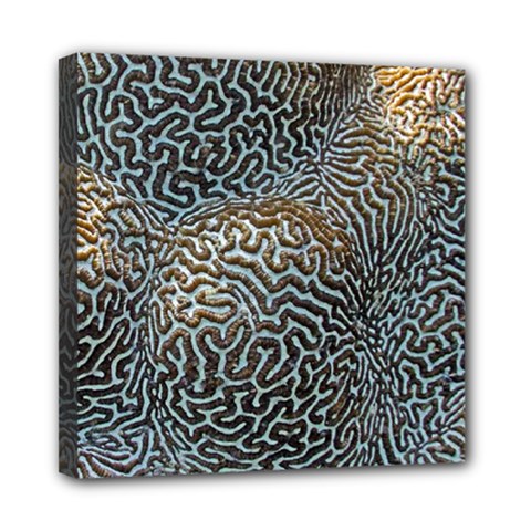 Coral Pattern Mini Canvas 8  X 8  by Amaryn4rt