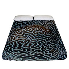 Coral Pattern Fitted Sheet (queen Size) by Amaryn4rt