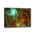 Art Shell Spirals Texture Mini Canvas 7  x 5  View1