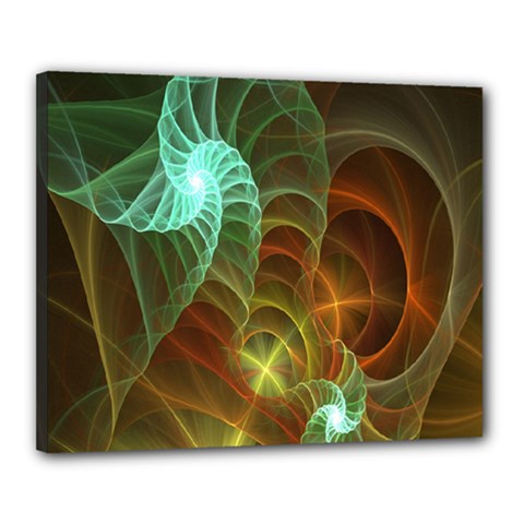 Art Shell Spirals Texture Canvas 20  X 16  by Simbadda