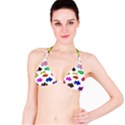 Fishes Marine Life Swimming Water Bikini Top View1