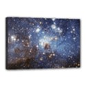 Large Magellanic Cloud Canvas 18  x 12  View1
