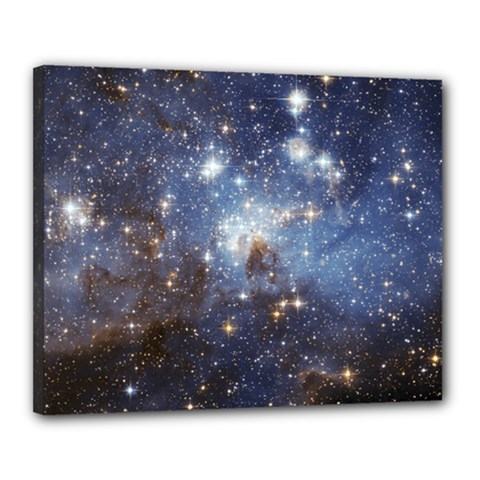 Large Magellanic Cloud Canvas 20  X 16  by SpaceShop