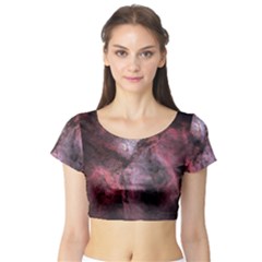 Carina Peach 4553 Short Sleeve Crop Top (tight Fit) by SpaceShop