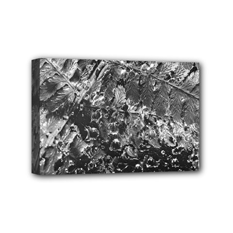 Fern Raindrops Spiderweb Cobweb Mini Canvas 6  X 4  by Simbadda