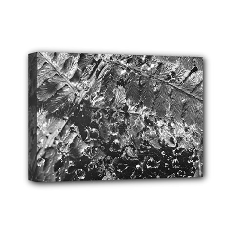 Fern Raindrops Spiderweb Cobweb Mini Canvas 7  X 5  by Simbadda