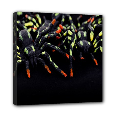 Colorful Spiders For Your Dark Halloween Projects Mini Canvas 8  X 8  by Simbadda