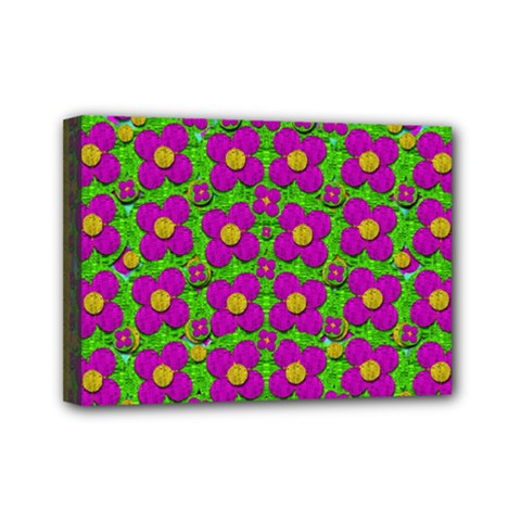 Bohemian Big Flower Of The Power In Rainbows Mini Canvas 7  X 5  by pepitasart