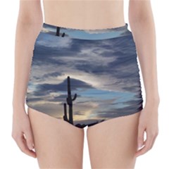 Cactus Sunset High-waisted Bikini Bottoms by JellyMooseBear