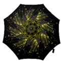 Big bang Hook Handle Umbrellas (Large) View1