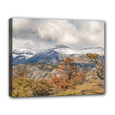 Forest And Snowy Mountains, Patagonia, Argentina Canvas 14  X 11  by dflcprints