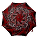 Big bang Hook Handle Umbrellas (Large) View1