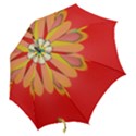 Colors On Red Hook Handle Umbrellas (Medium) View2