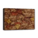 Brown Texture Deluxe Canvas 18  x 12   View1