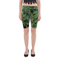 Texture Leaves Light Sun Green Yoga Cropped Leggings by BangZart