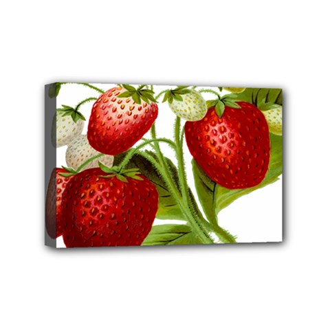 Food Fruit Leaf Leafy Leaves Mini Canvas 6  X 4  by Nexatart