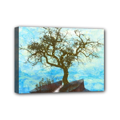 Single Tree Mini Canvas 7  X 5  by berwies