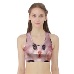 Cat  Animal  Kitten  Pet Sports Bra With Border by BangZart