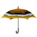 Ombre Hook Handle Umbrellas (Small) View3