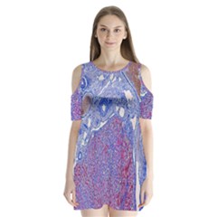 Histology Inc Histo Logistics Incorporated Human Liver Rhodanine Stain Copper Shoulder Cutout Velvet  One Piece by Mariart