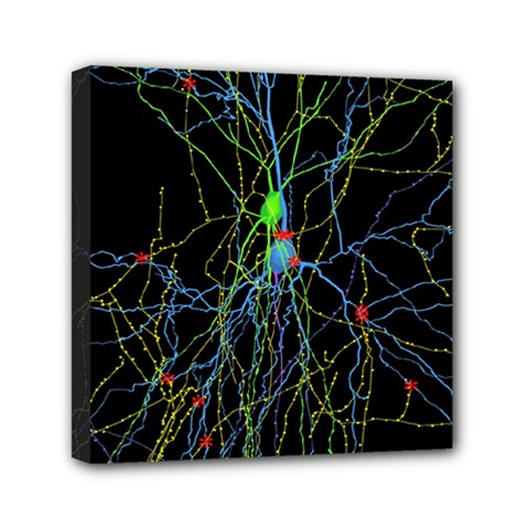 Synaptic Connections Between Pyramida Neurons And Gabaergic Interneurons Were Labeled Biotin During Mini Canvas 6  X 6  by Mariart