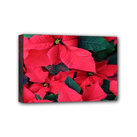 Red Poinsettia Flower Mini Canvas 6  X 4  by Mariart