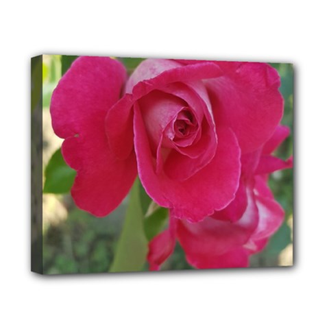 Romantic Red Rose Photography Canvas 10  X 8  by yoursparklingshop