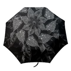 Black And White Leaves Photo Folding Umbrellas by dflcprintsclothing