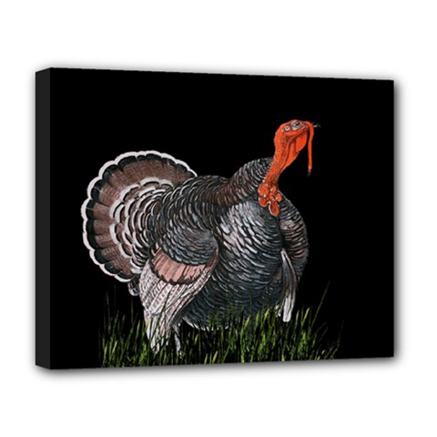 Thanksgiving Turkey Deluxe Canvas 20  X 16   by Valentinaart