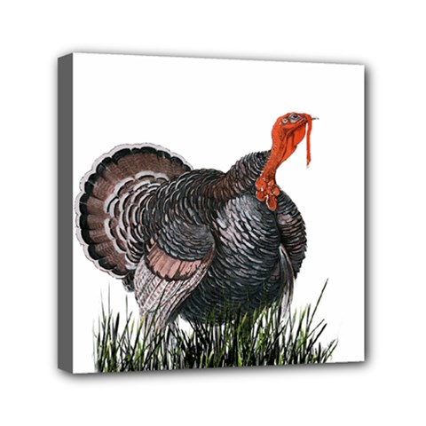 Thanksgiving Turkey Mini Canvas 6  X 6  by Valentinaart