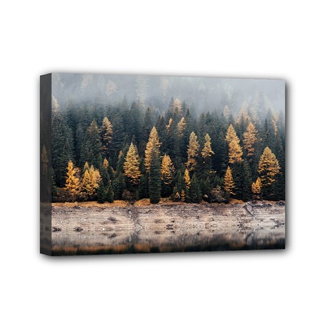Trees Plants Nature Forests Lake Mini Canvas 7  X 5  by Celenk